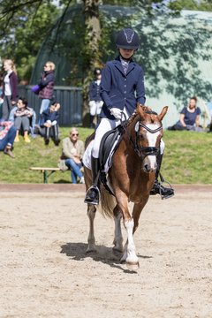Bild 574 - Pony Akademie Turnier